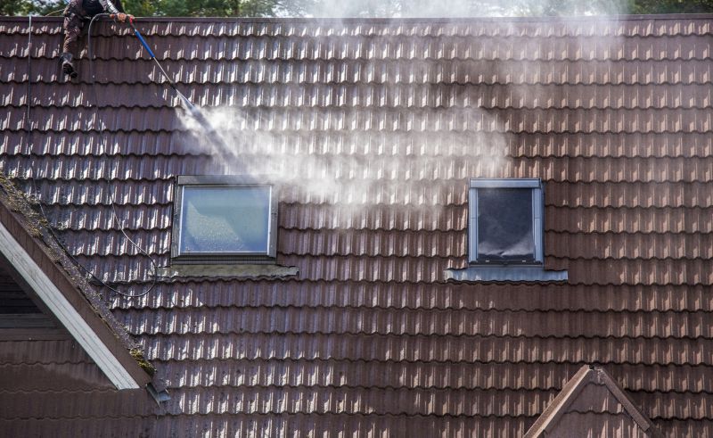 Roof Cleaning Process